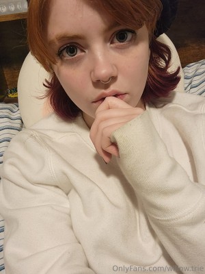 Willow Trie Photo #146