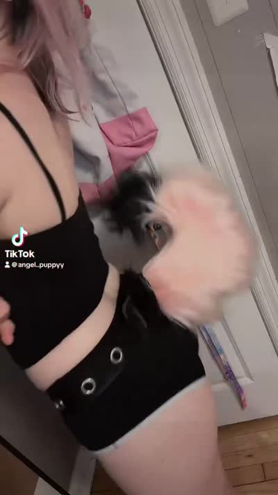 Angel Puppy Video #6