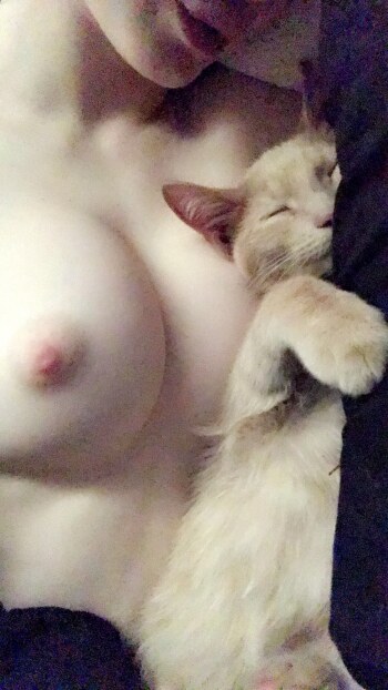 Celestiavega Photo #20