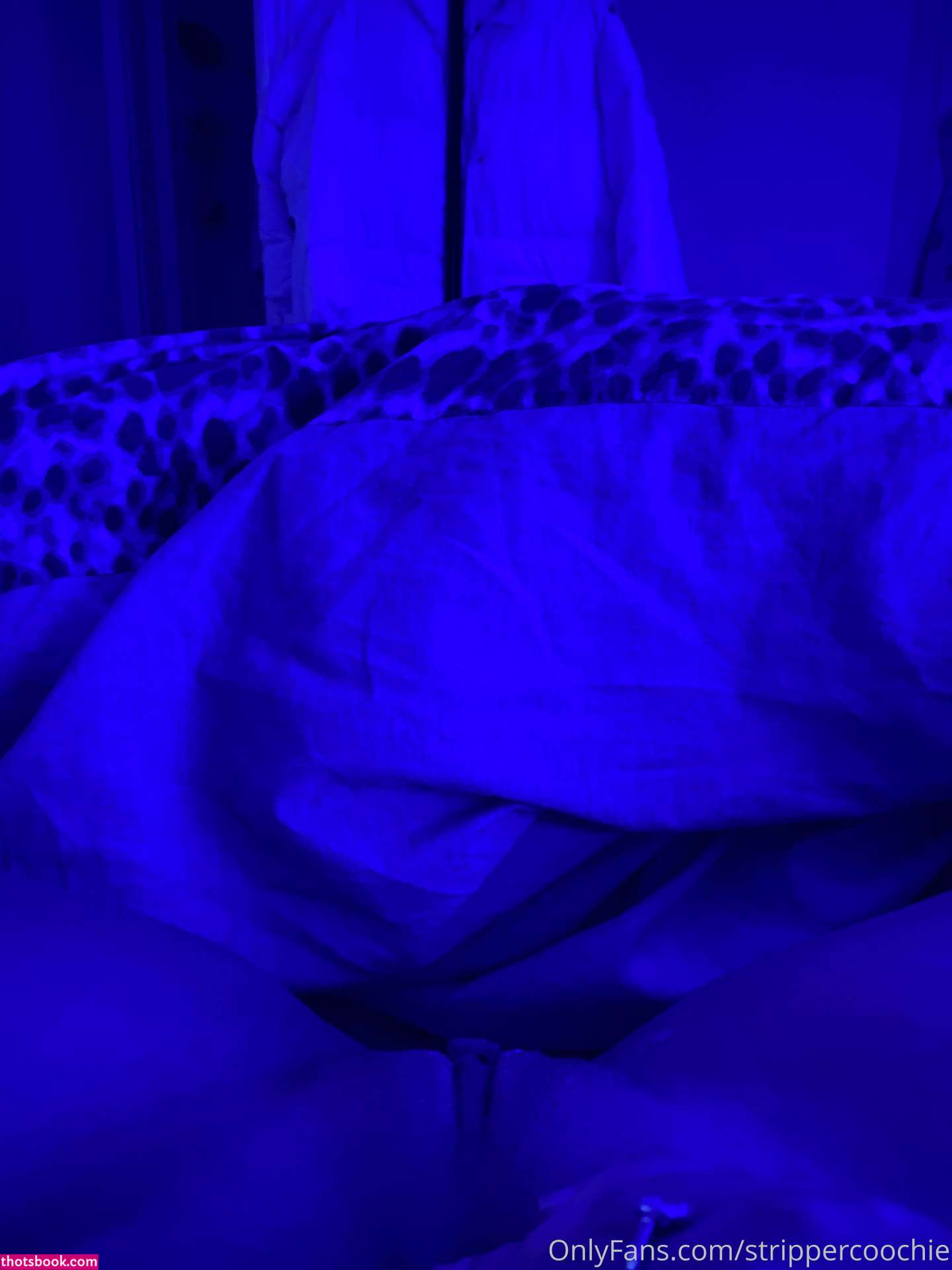 Mel Farahmand Photo #17