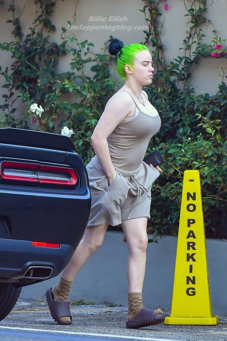 Billie Eilish Photo #9