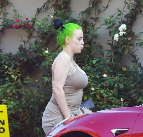 Billie Eilish Photo #5