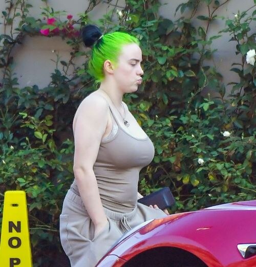 Billie Eilish Photo #6
