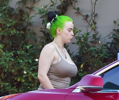 Billie Eilish Photo #8