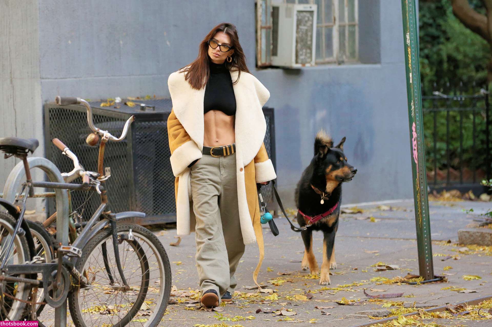 Emily Ratajkowski Photo #295