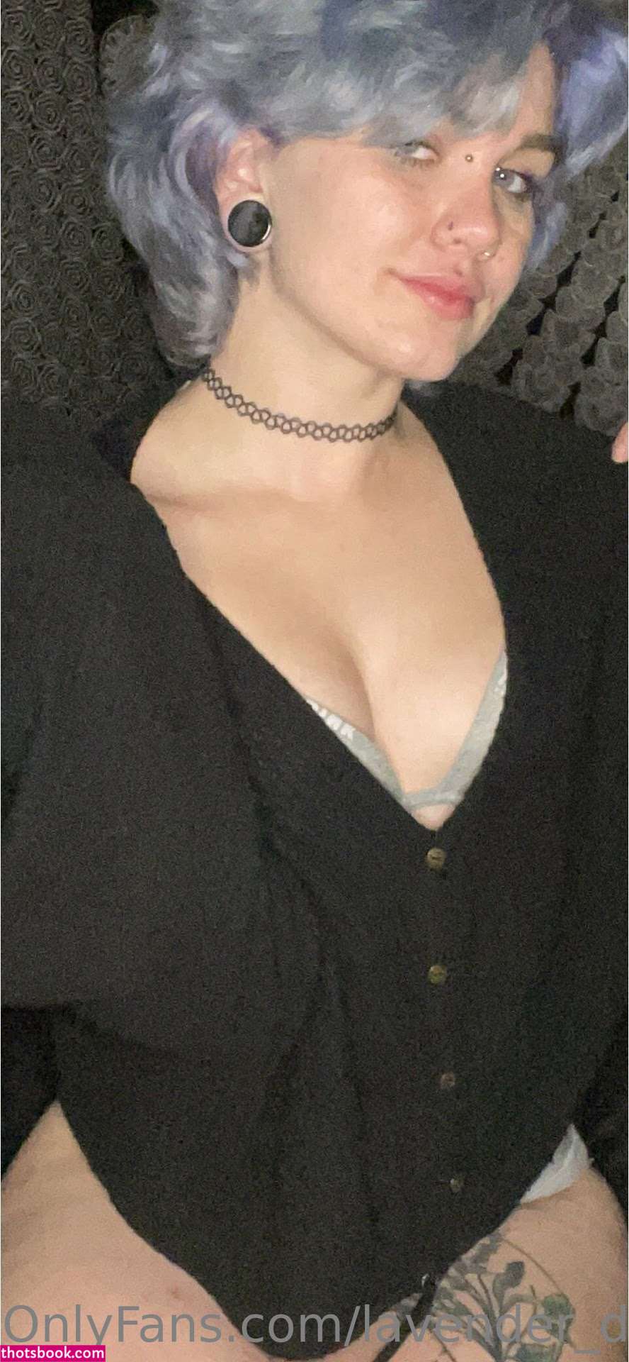 Lavender Daydream Photo #1