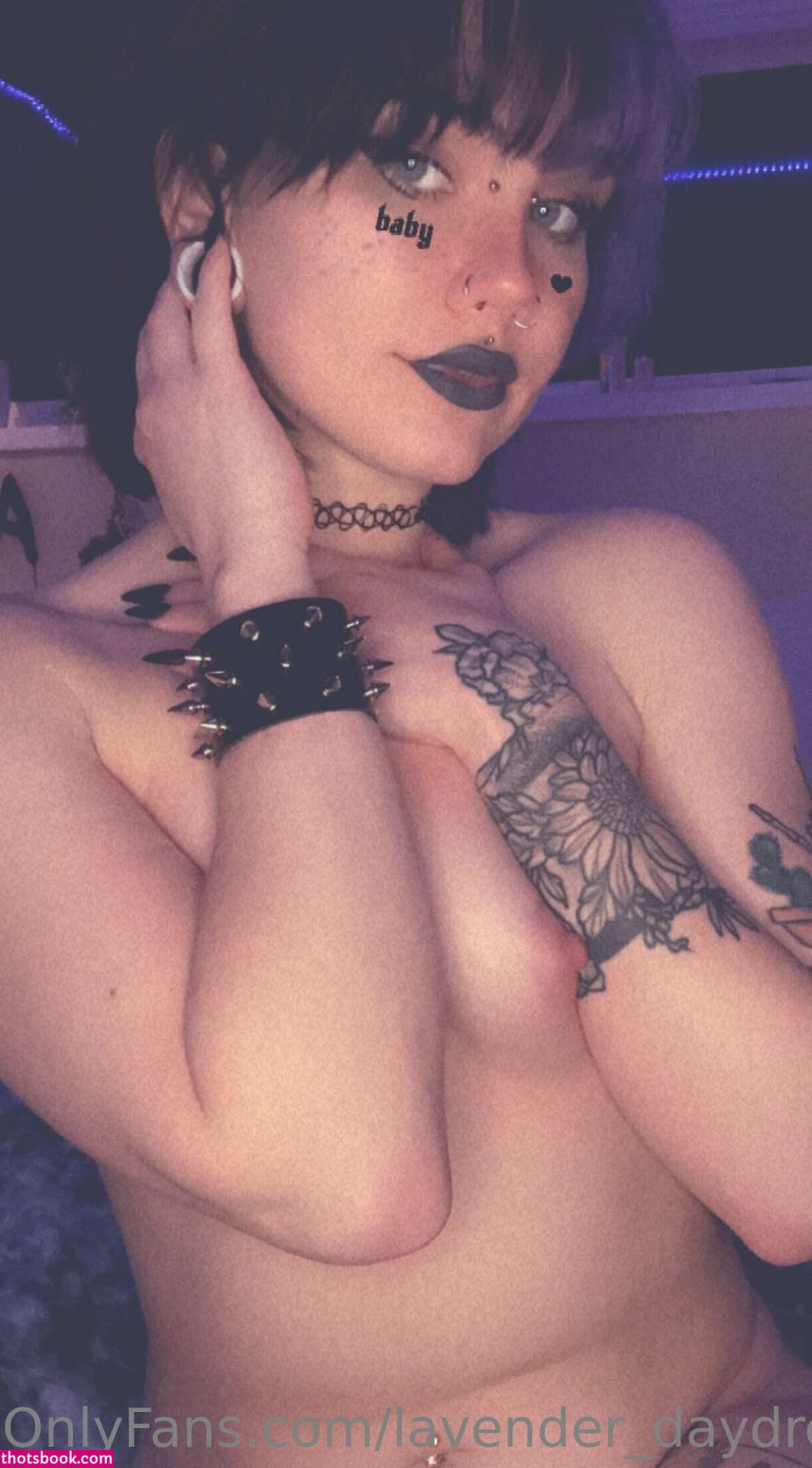 Lavender Daydream Photo #11