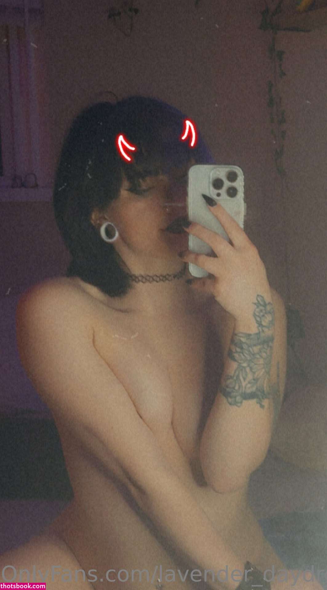 Lavender Daydream Photo #29