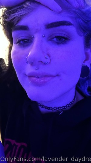 Lavender Daydream Photo #93