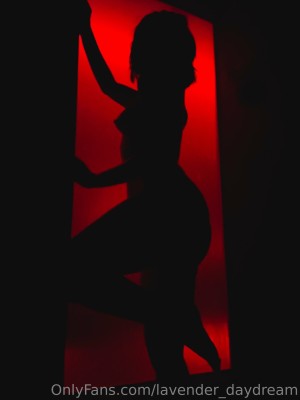 Lavender Daydream Photo #142