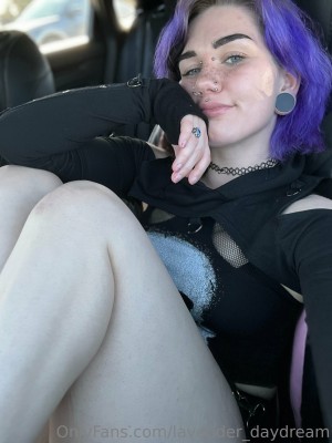 Lavender Daydream Photo #171