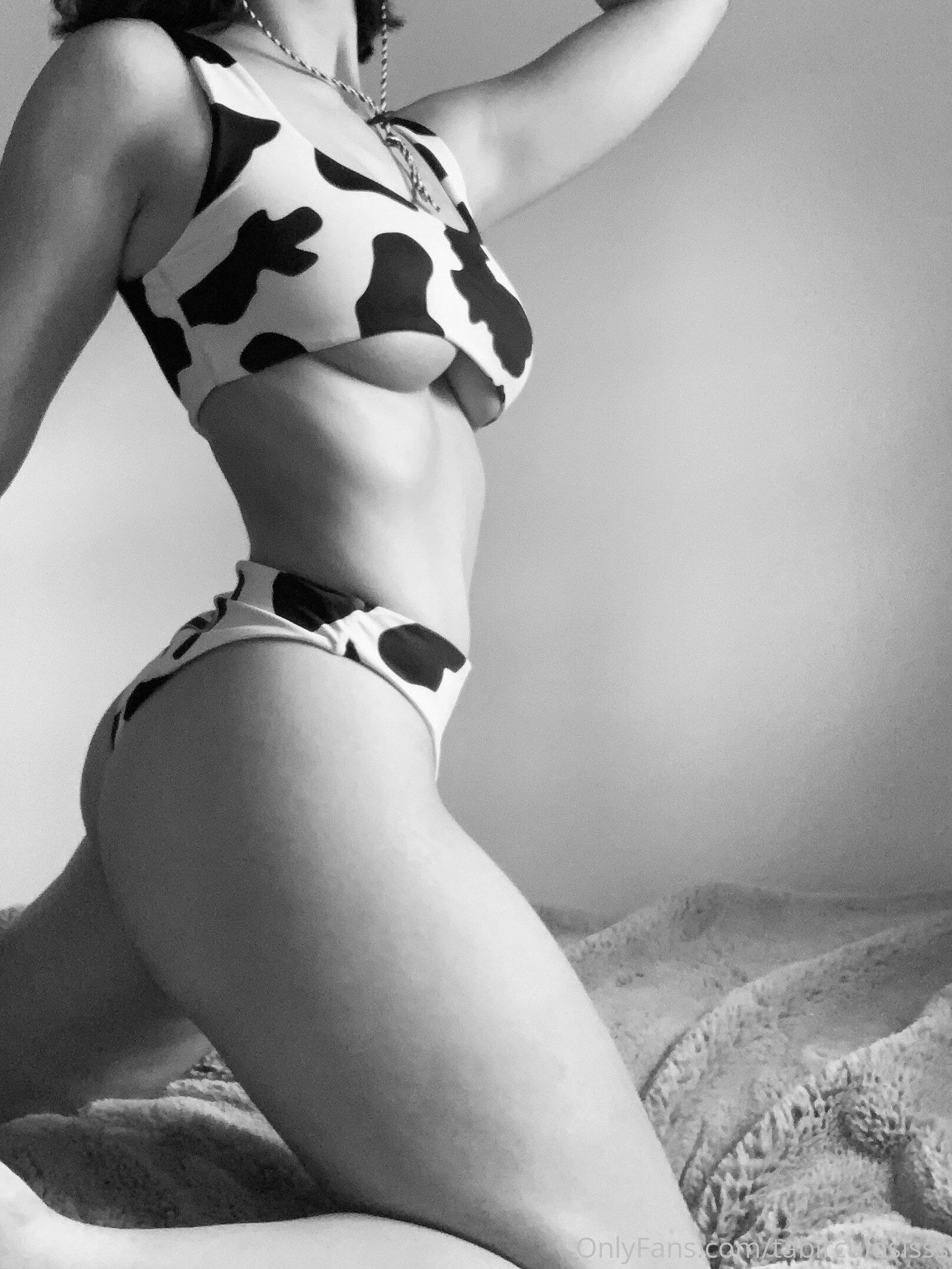 Creator Photo #76487