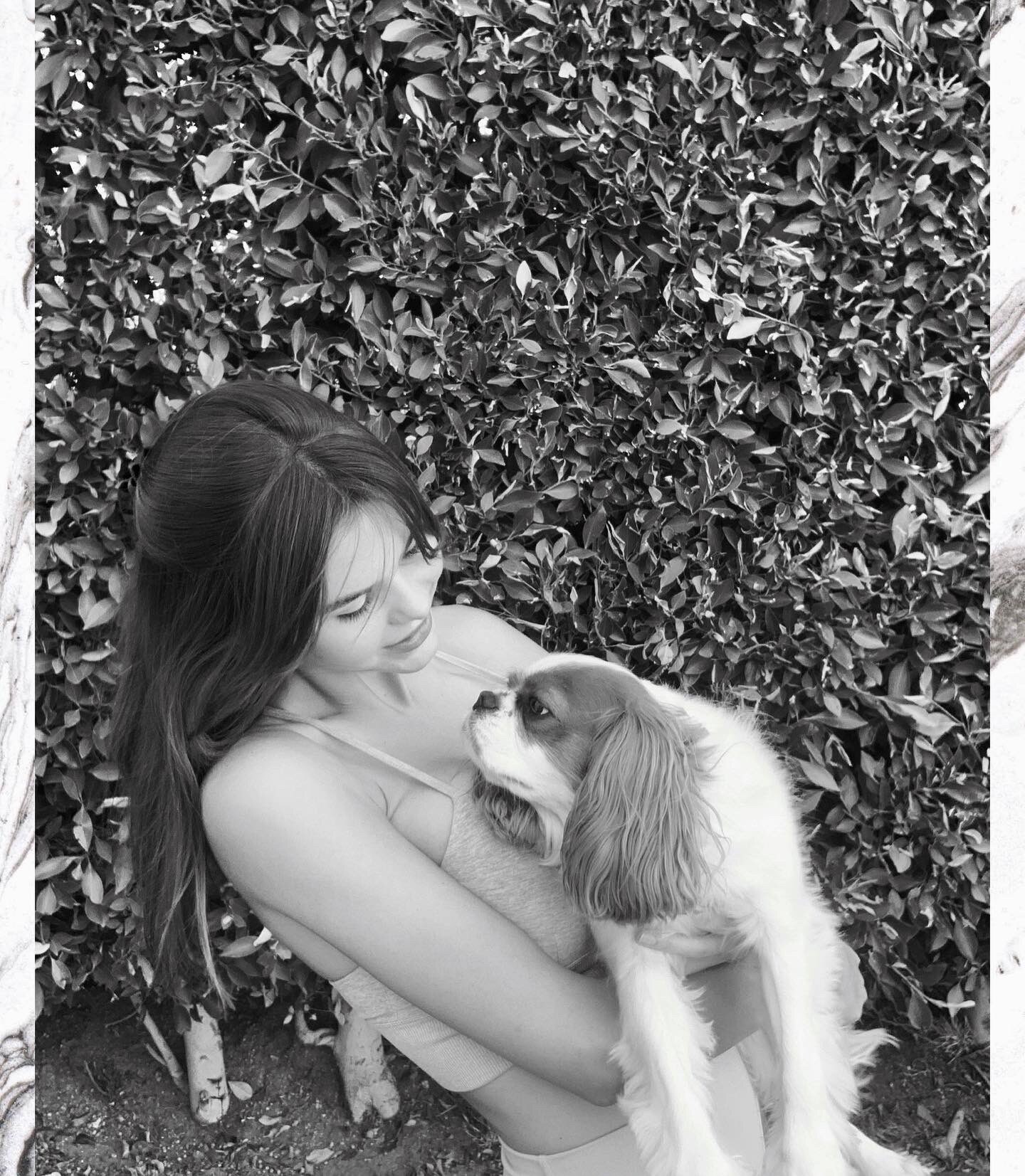 Ashley Tervort Photo #843