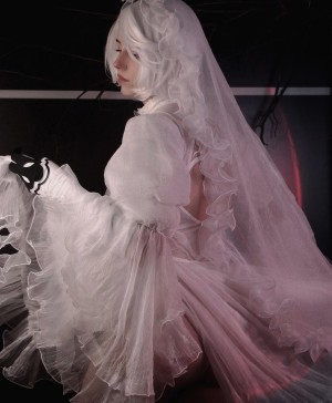 Dolchstosss Photo #13