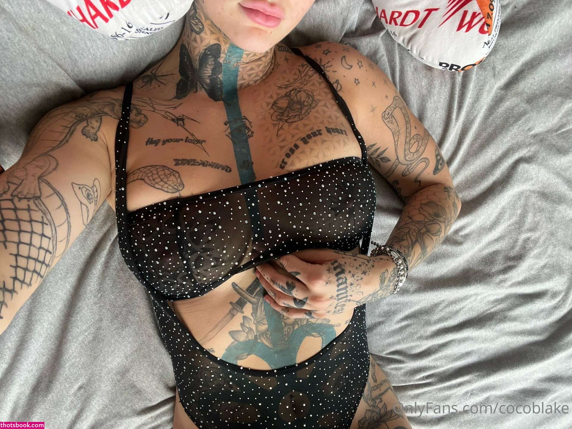 Coco Blake Photo #4
