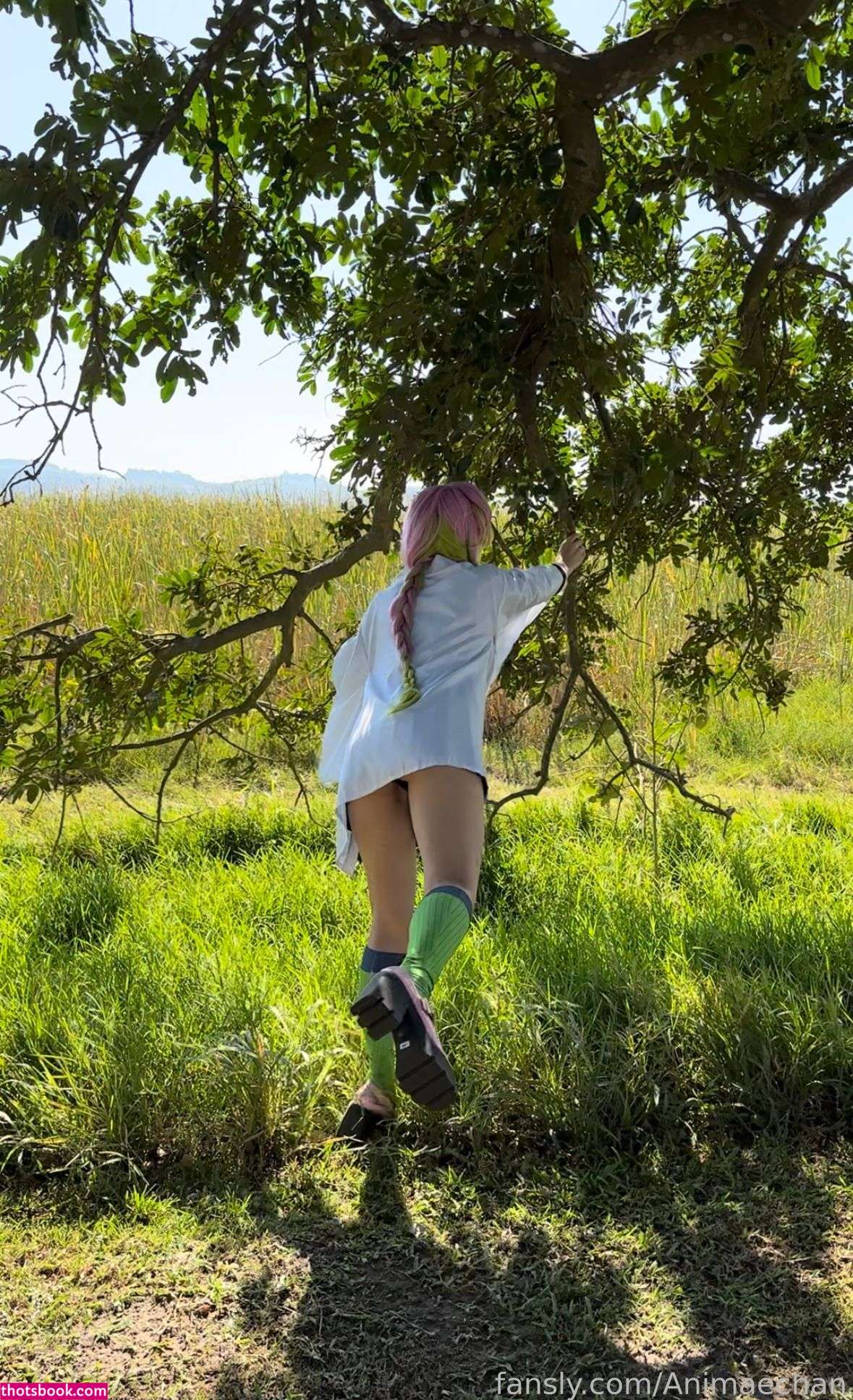 Animaechan Photo #41