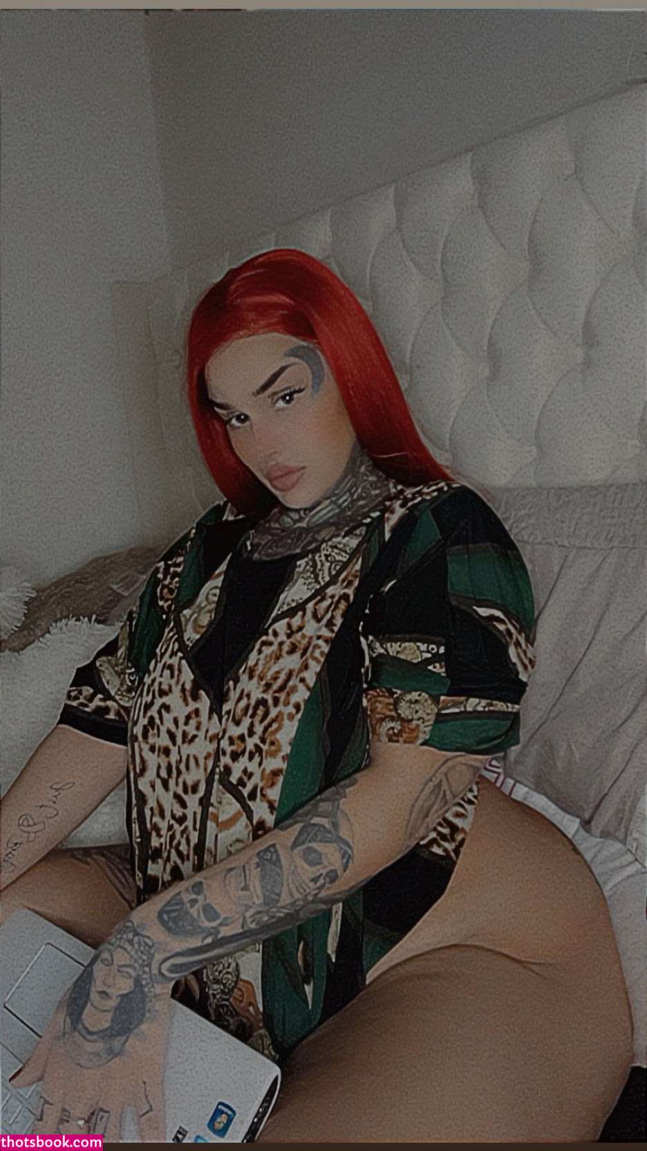 Creator Photo #1917262