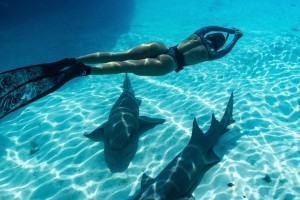 Carmella Rose Photo #317