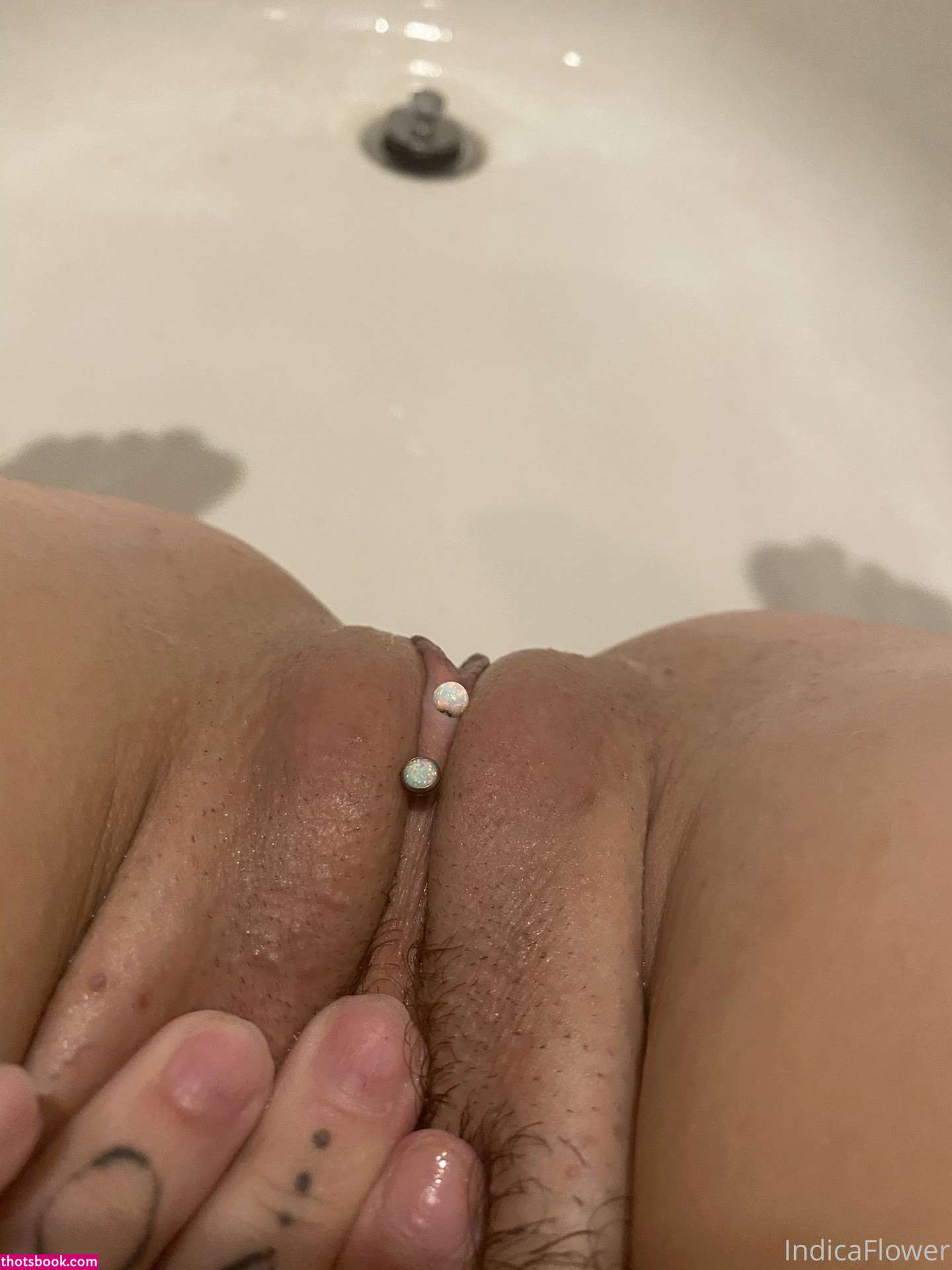 Indica Flower Photo #141