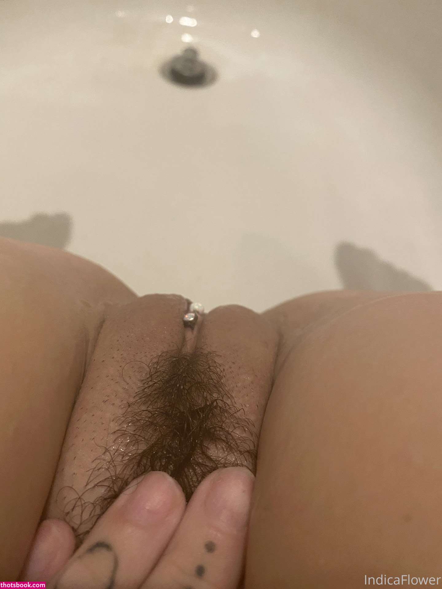 Indica Flower Photo #143