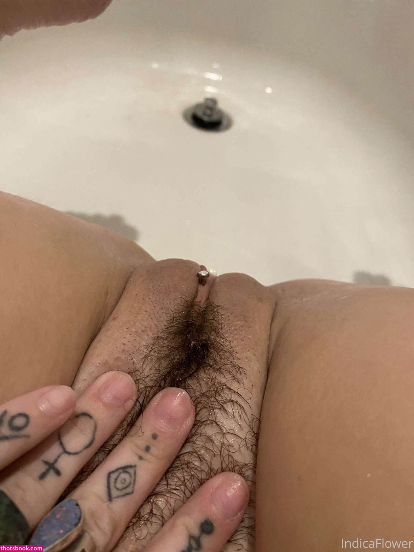 Indica Flower Photo #148