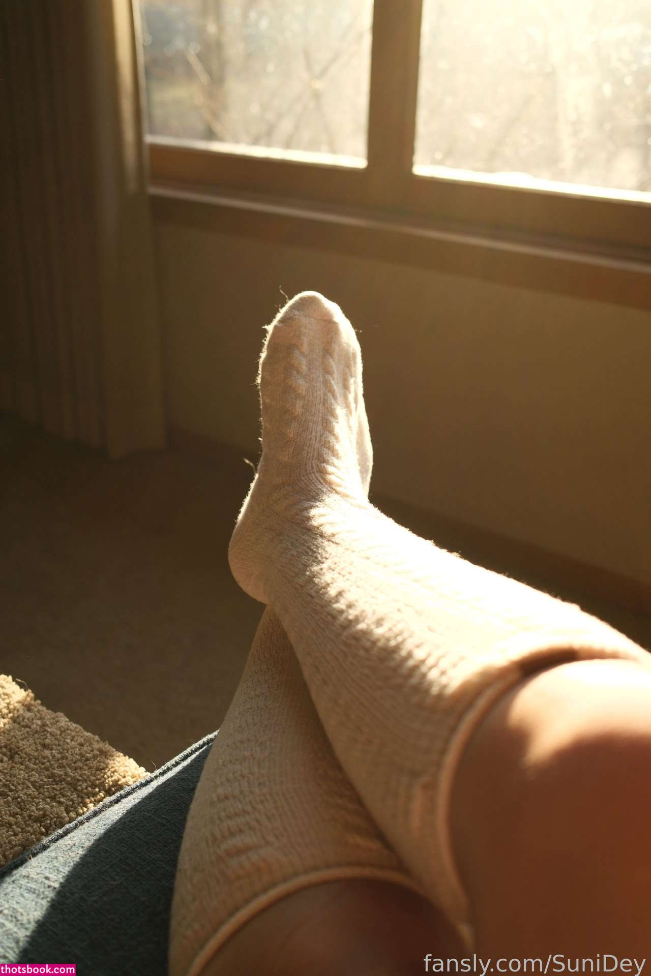 Sunidey Photo #149
