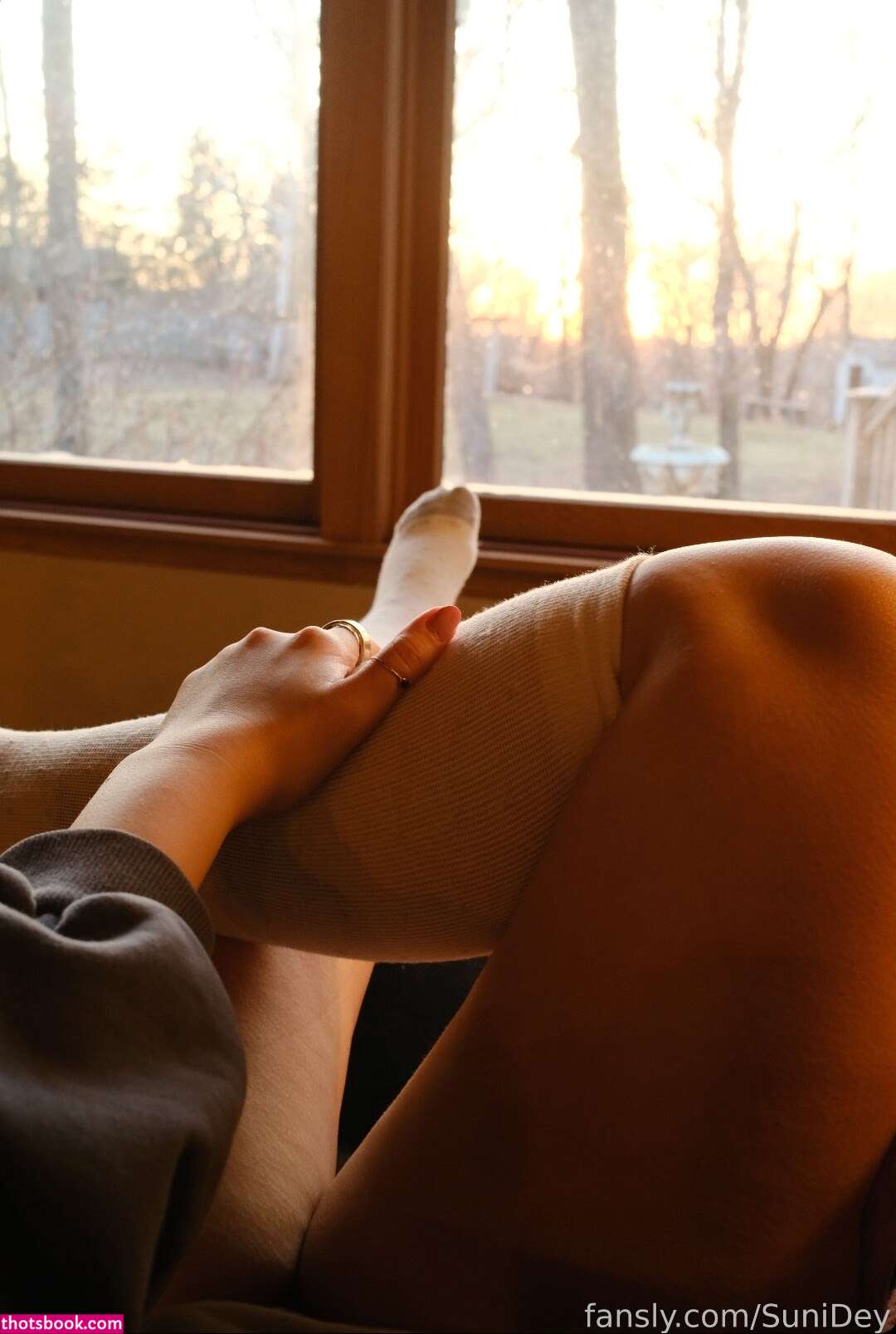Sunidey Photo #158