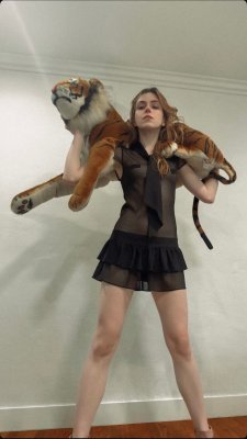 Kadivideo Photo #36