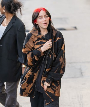 Billie Eilish Photo #184
