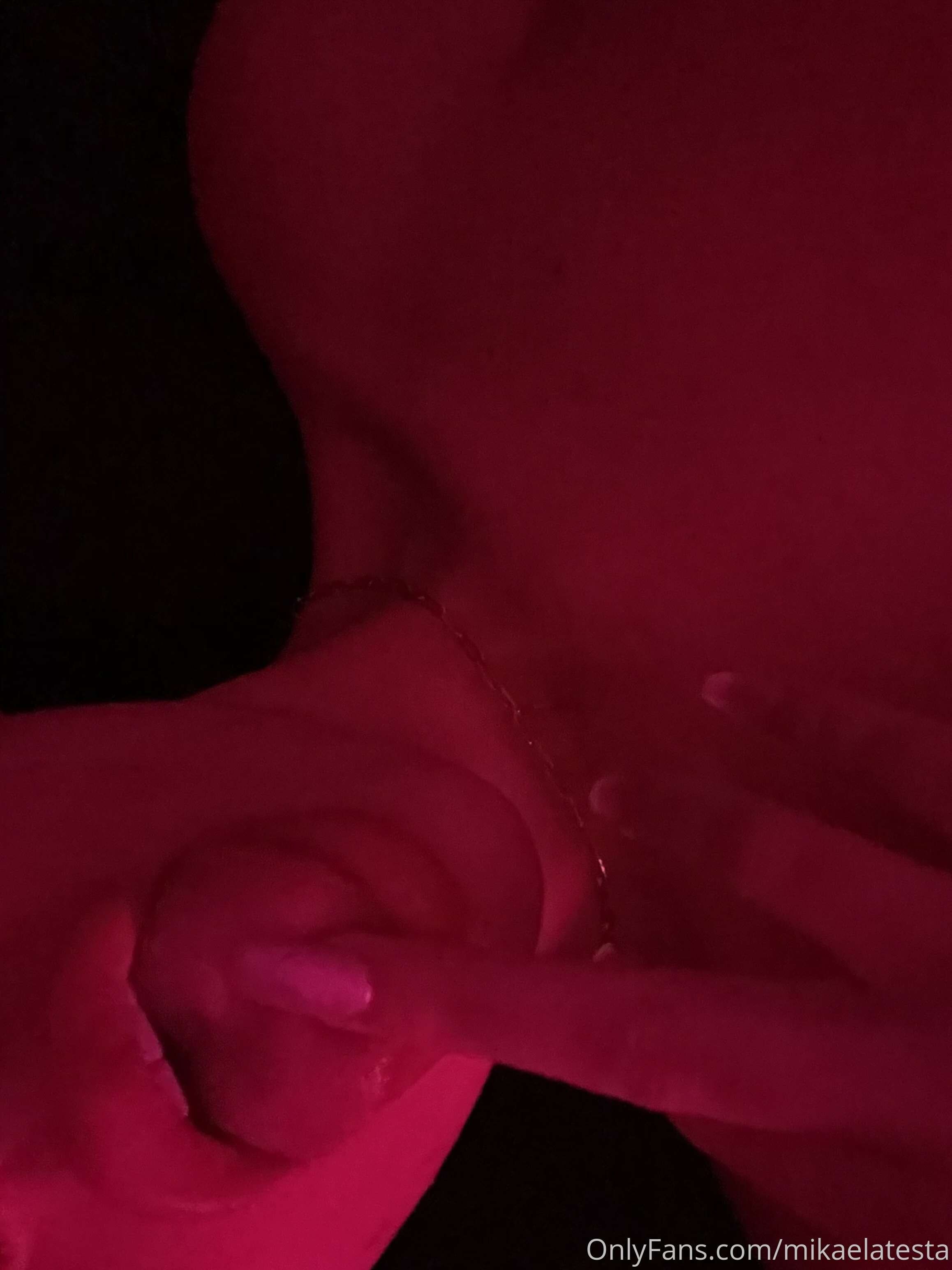 Mikaela Testa Photo #173