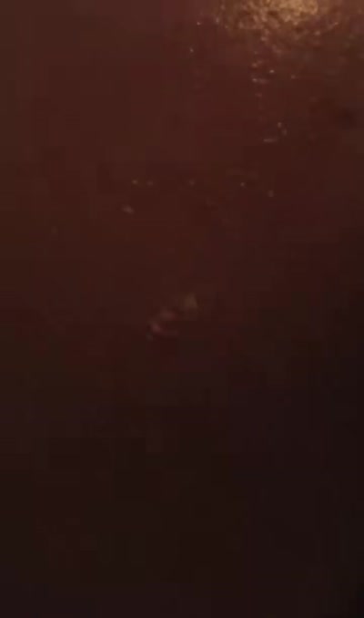 babieemi0x0 Video #59