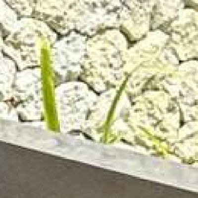 emiliajulie