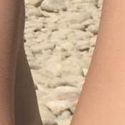 Ibicella Fr