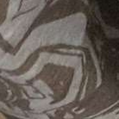 Codi Vore
