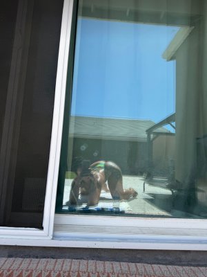 Astr0girll Post #35