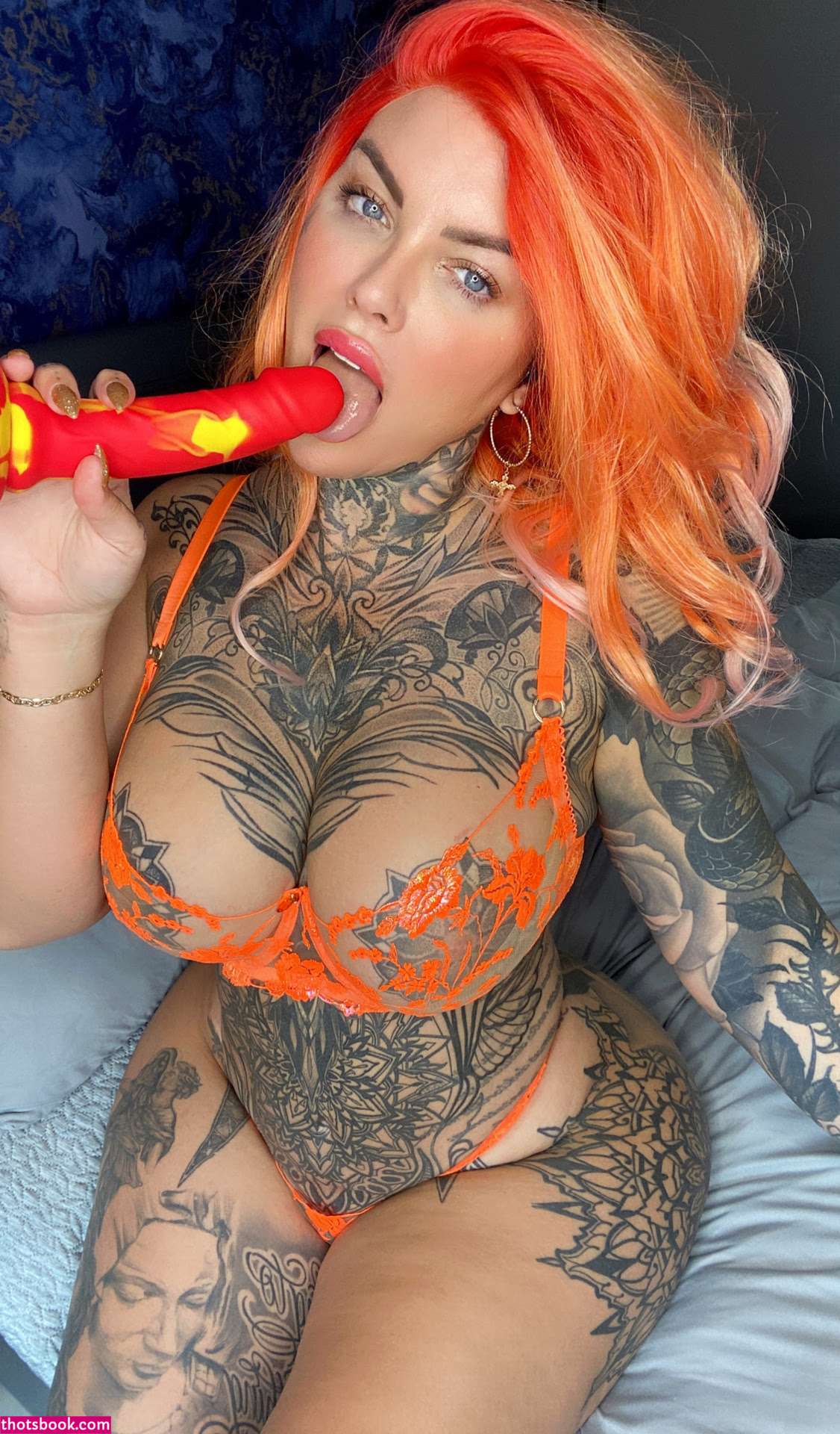 Donna Wildcard OnlyFans Photos #3 164168