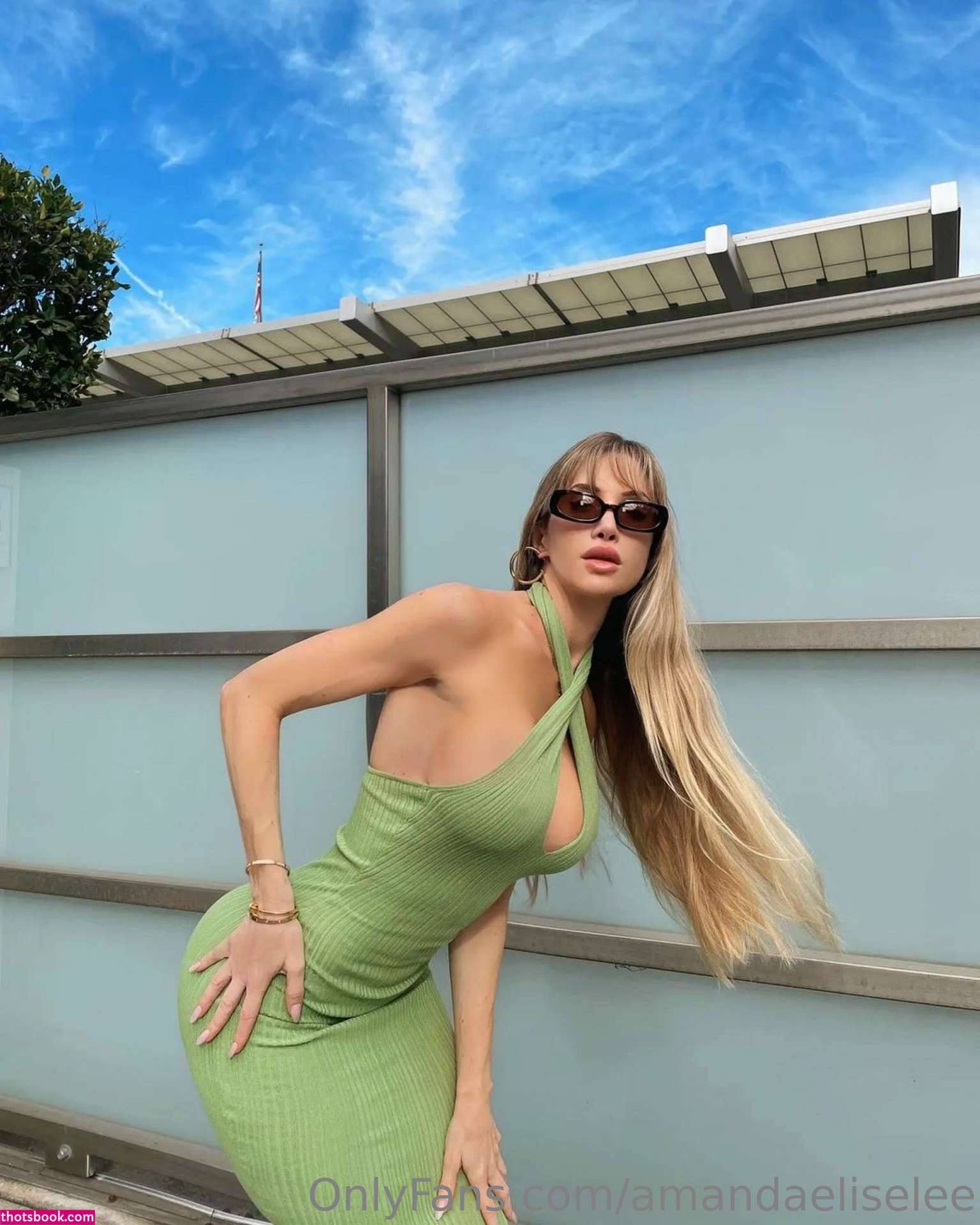 Amanda Elise Lee Nude OnlyFans Photos #7 660017