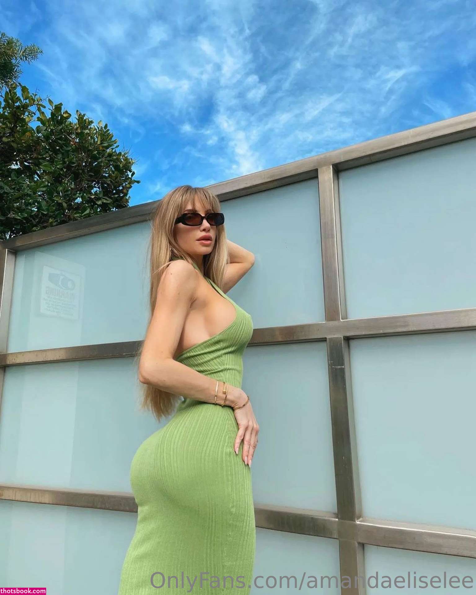 Amanda Elise Lee Nude OnlyFans Photos #7 660019