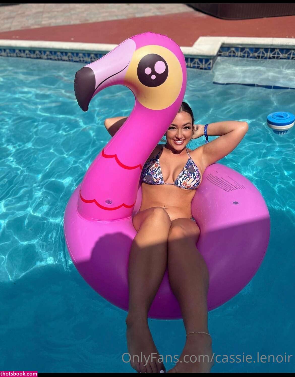 Cassie lenoir Nude OnlyFans Photos #3 660294