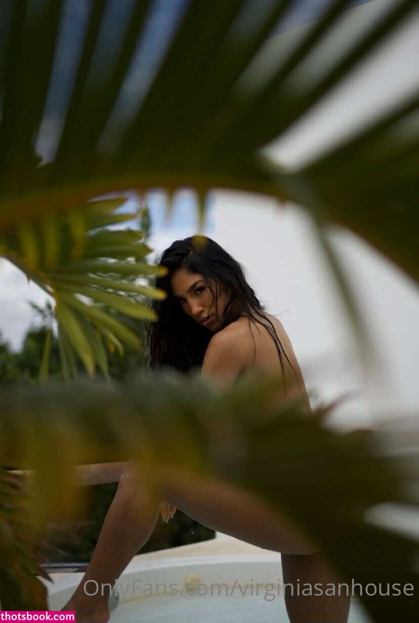 Virginia Sanhouse Nude OnlyFans Photos #5 713940