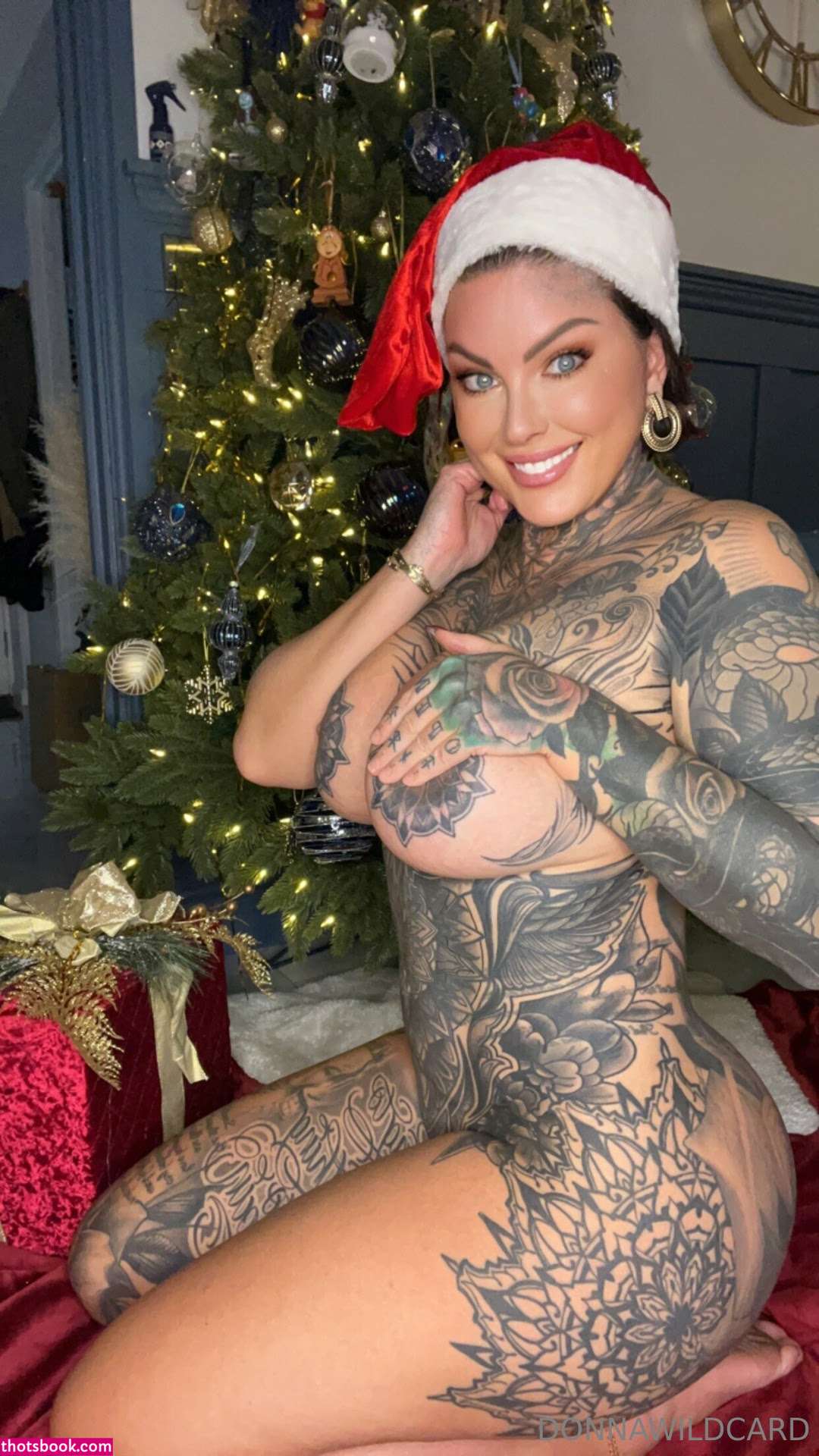 Donna Wildcard Nude OnlyFans Photos #16 669634