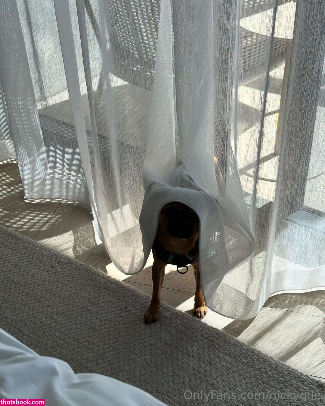 Nicky Gile nickygile Nude OnlyFans Photos #8 692338