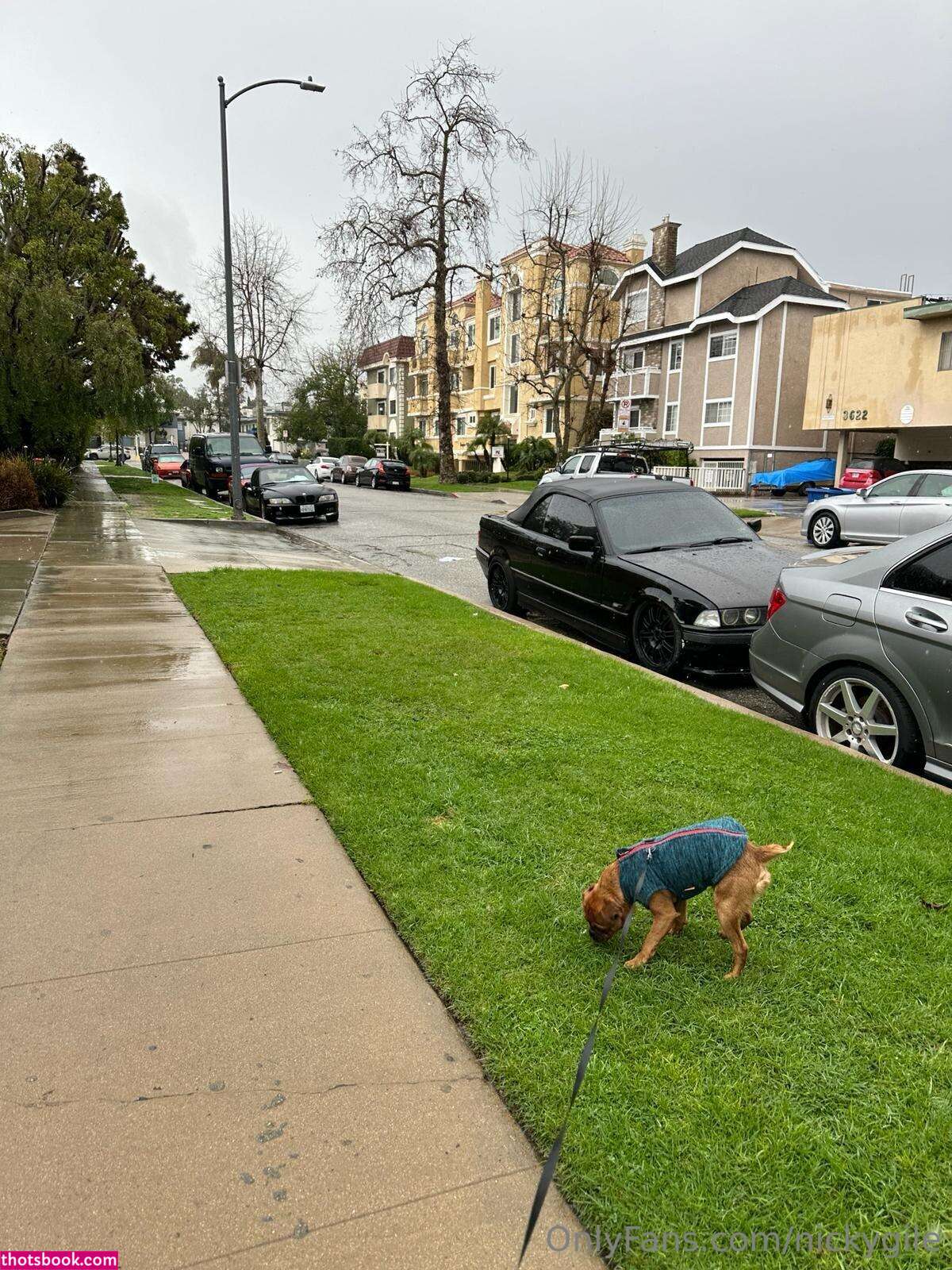 Nicky Gile nickygile Nude OnlyFans Photos #9 692342