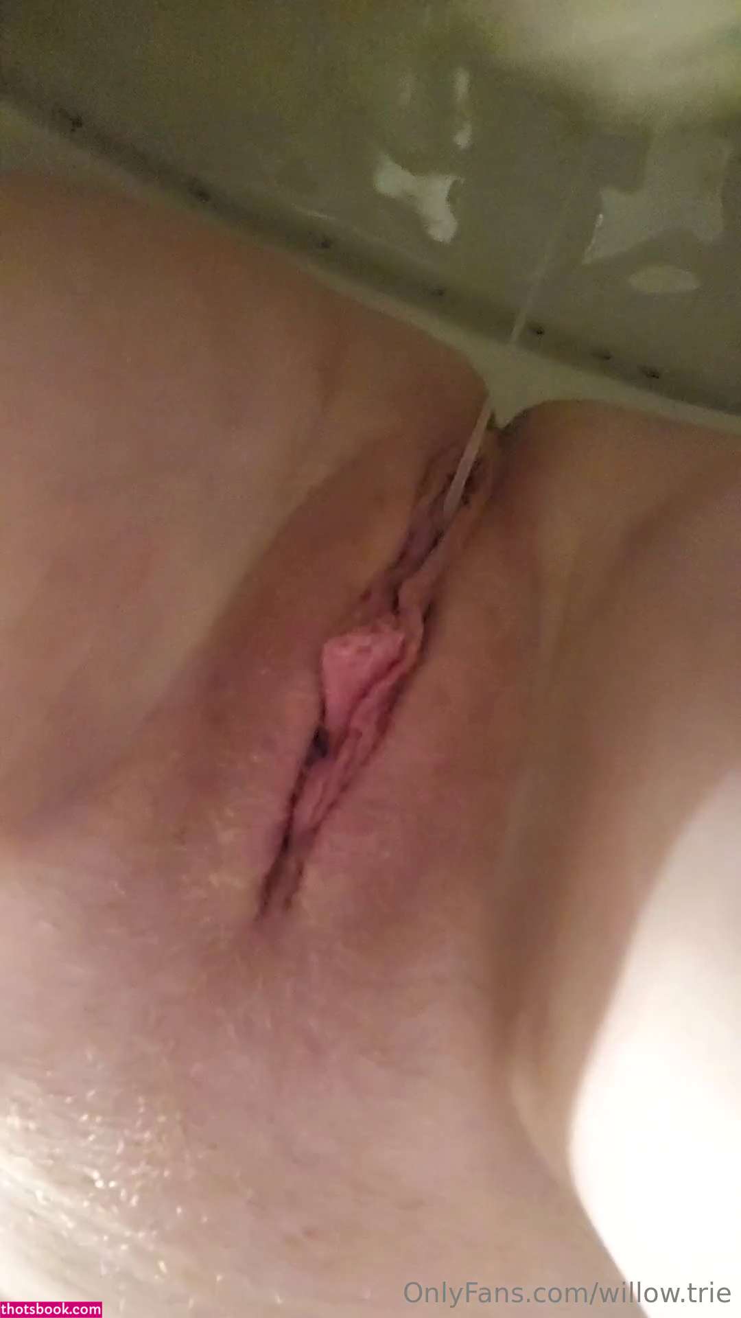 Willow Trie Nude OnlyFans Photos #10 692895