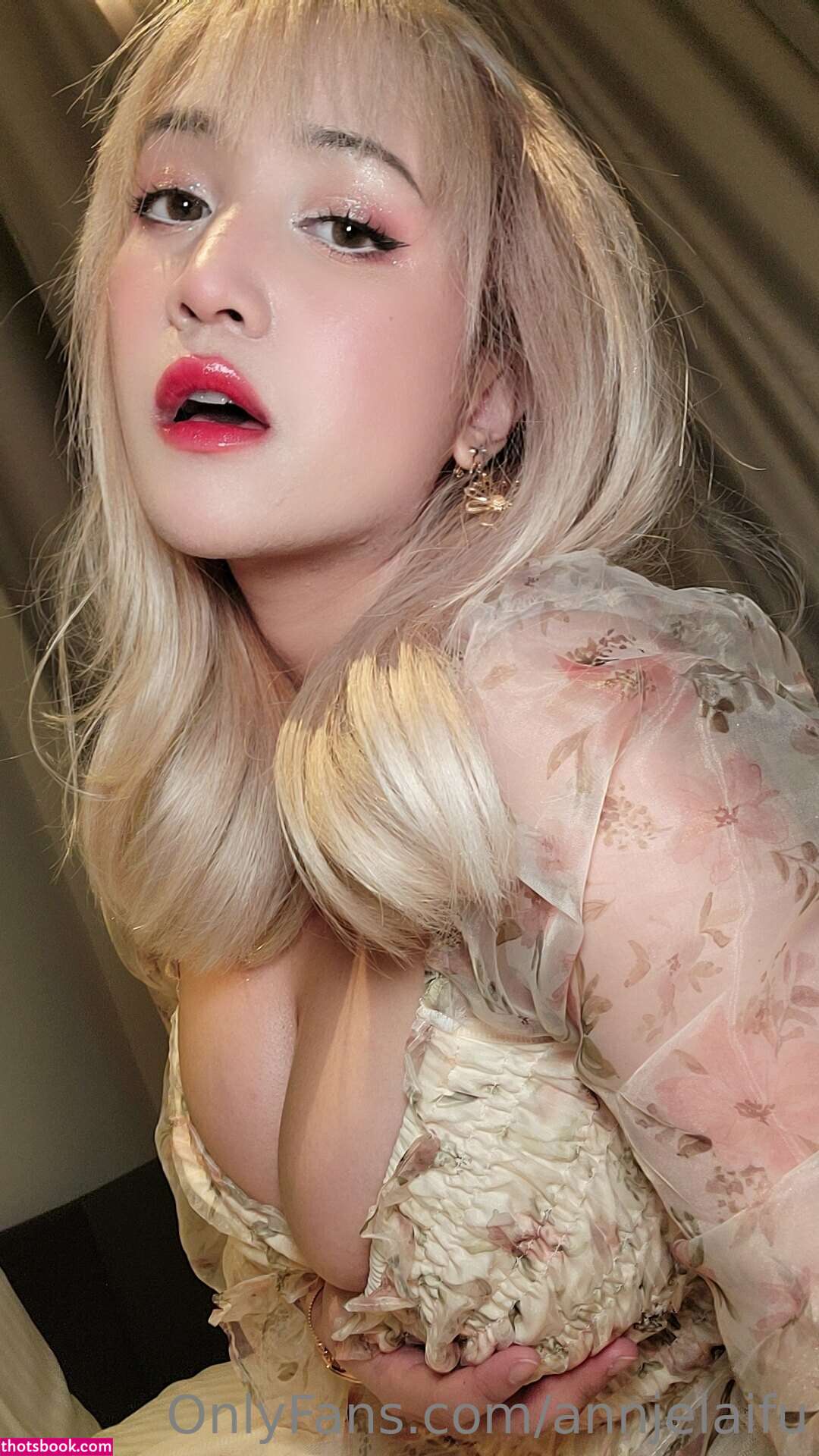 Annjelaifu Nude OnlyFans Photos #9 664225