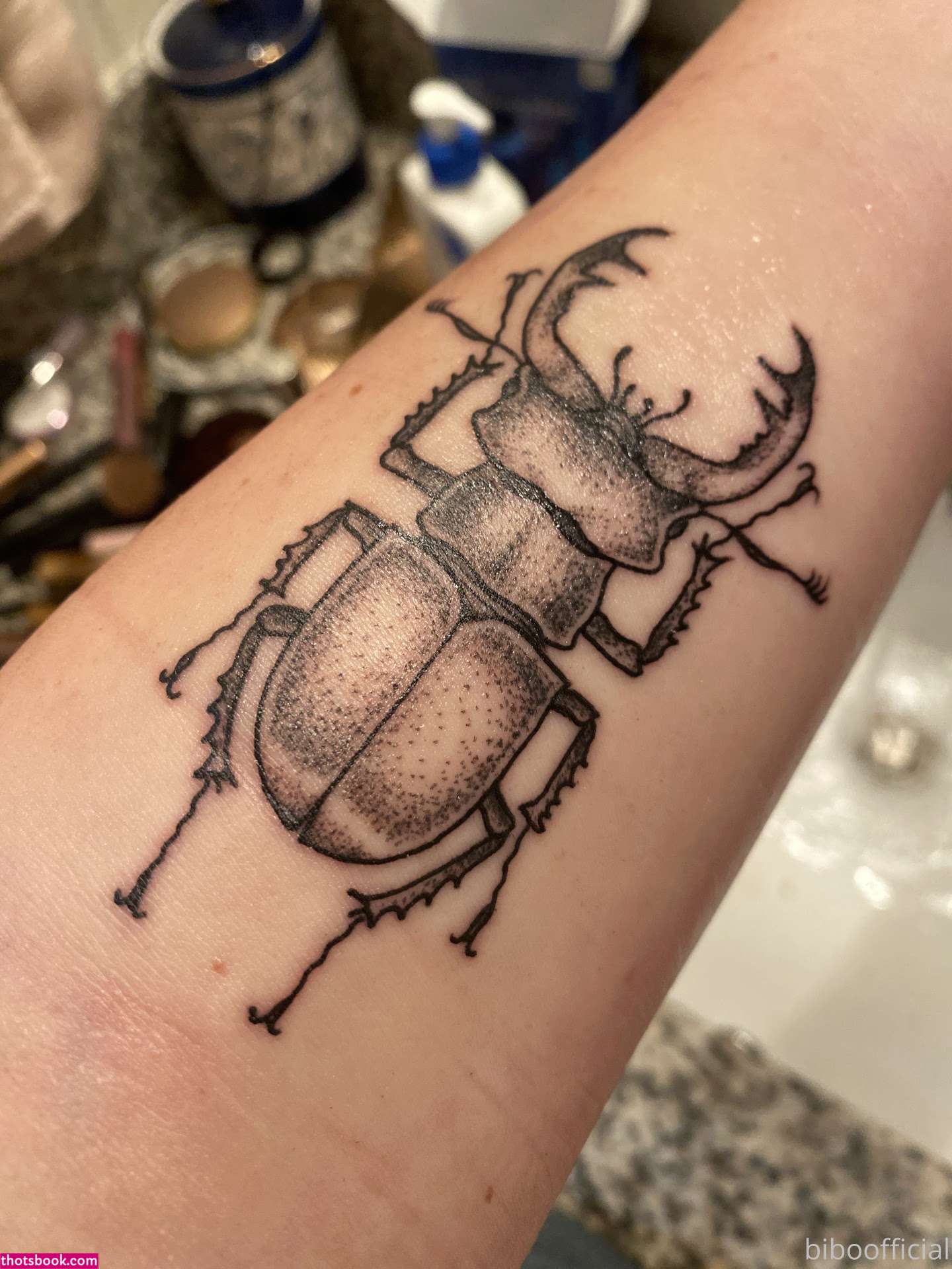 Bibo biboofficial Nude OnlyFans Photos #14 680183