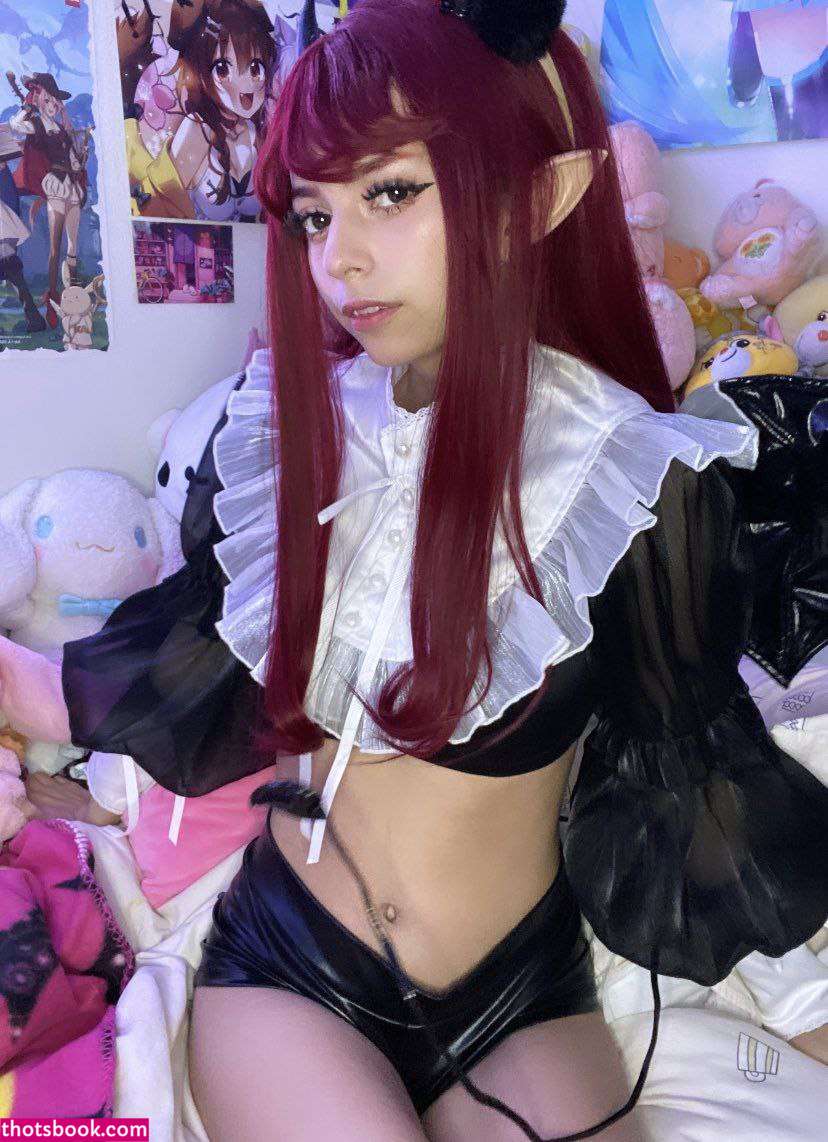 Clownhop Nude OnlyFans Photos #3 675185