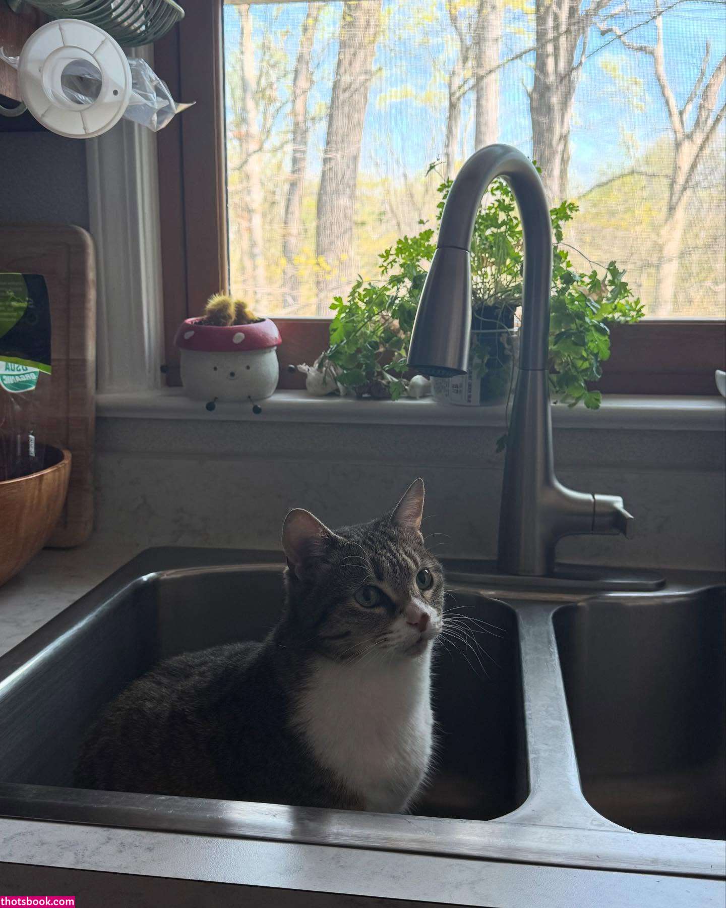 renhollister Nude Leaks OnlyFans Photos #5 1567488