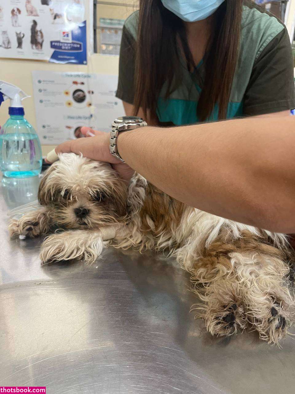 Charmaine Manicio Nude Leaks OnlyFans Photos #3 1540695