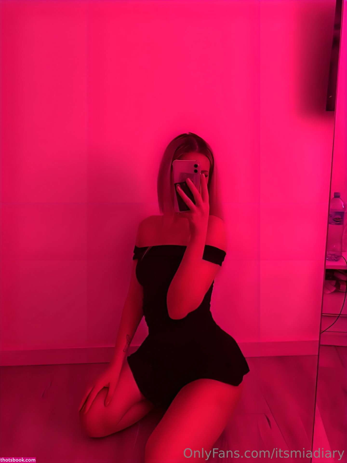 sanzii01 thewholemia itsmiadiary Nude Leaks OnlyFans Photos #2 1541787